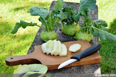 Brassica oleracea