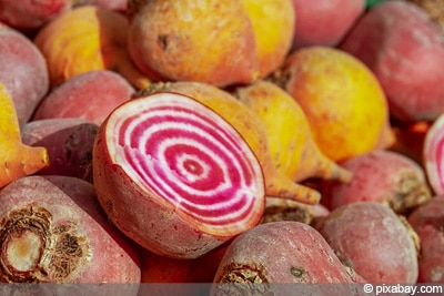 Rote Beete reif - Rote Rübe ernten