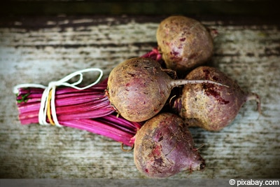 Rote Beete reif - Rote Rübe ernten