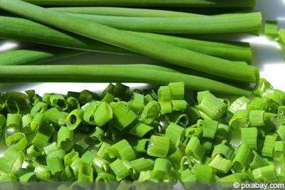 Schnittlauch Allium Schoenoprasum in Haus und Wohnung ziehen