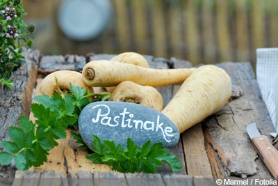 Pastinake roh essen Pastinake roh essen