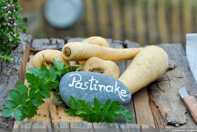 Pastinake