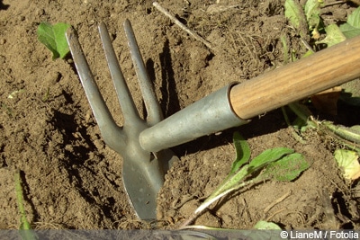 Spitzhacke Naturgarten