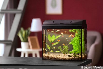 Aquarium