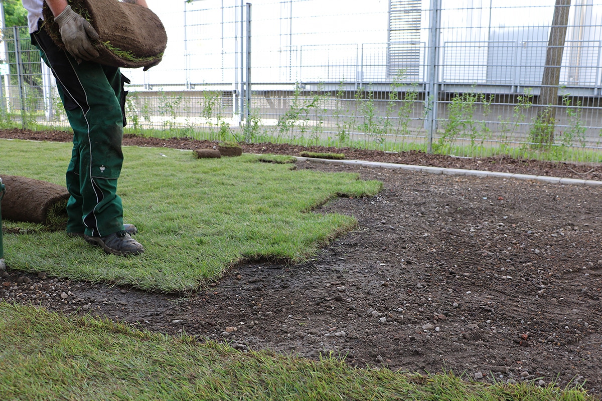 Unebener Rasen: so können Sie ihn begradigen - Gartendialog.de