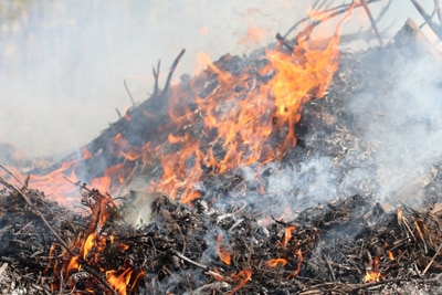 Gartenabfälle verbrennen