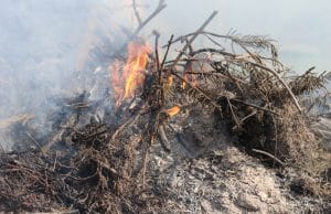 Gartenabfälle verbrennen