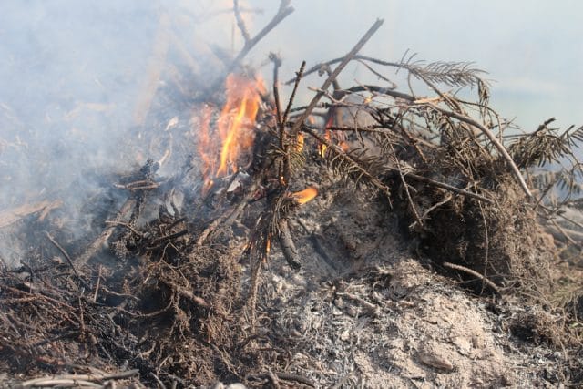 Gartenabfälle verbrennen