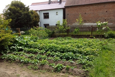 Garten anlegen