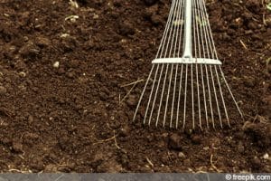 Wasser versickert nicht im Rasen: was tun? | Garten unter Wasser