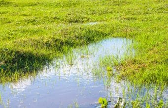 Gartengestaltung - Seite 4 von 14 - Gartendialog.de