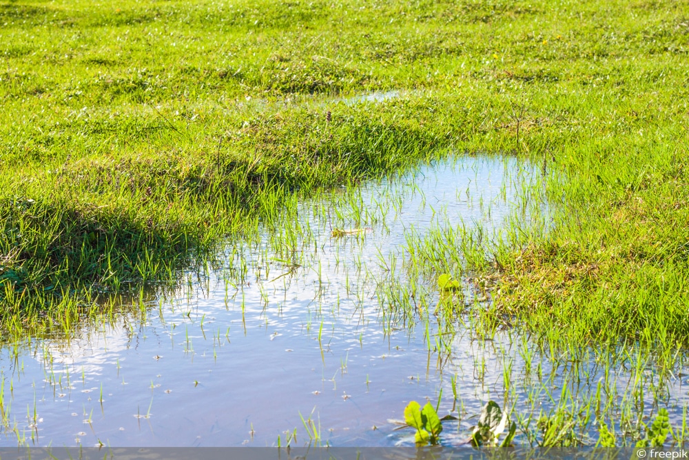 Wasser versickert nicht