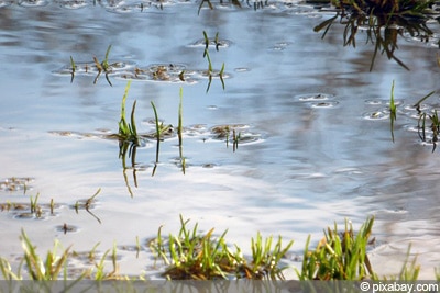 Wasser versickert nicht