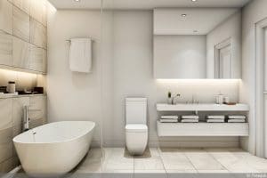 Pflanzen fürs Badezimmer ohne Fenster: 10 Grünpflanzen - Gartendialog.de