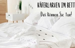 Käfer Larven im Bett