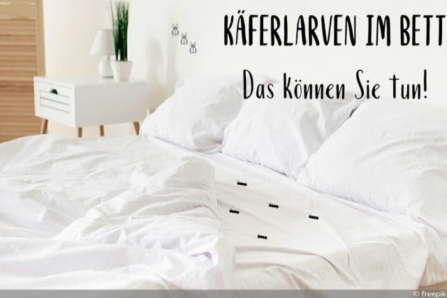 Käfer Larven im Bett