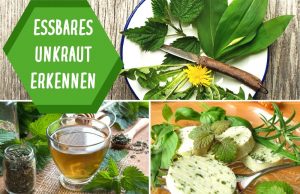 Essbares Unkraut