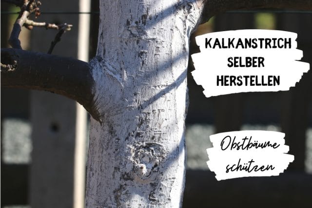 Kalkanstrich herstellen