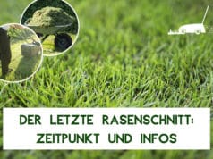 Kleine Runde Locher Im Rasen Wer War S Maus Oder Igel