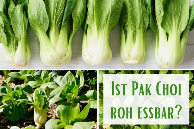 Pak Choi roh essbar