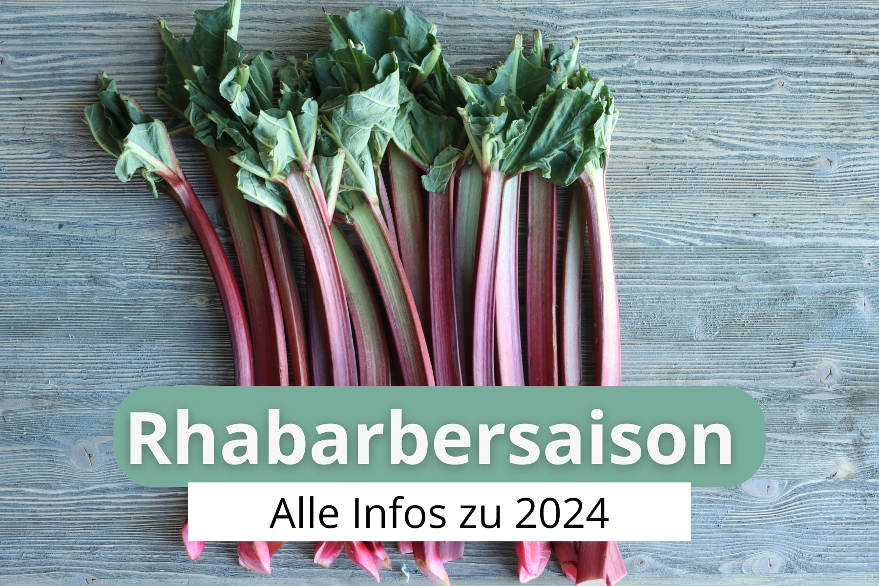 Wie Lange Gibt Es Rhabarber Zu Kaufen