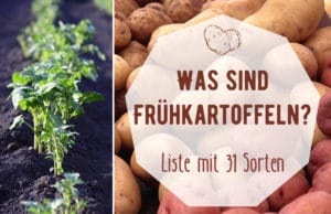 Frühkartoffeln