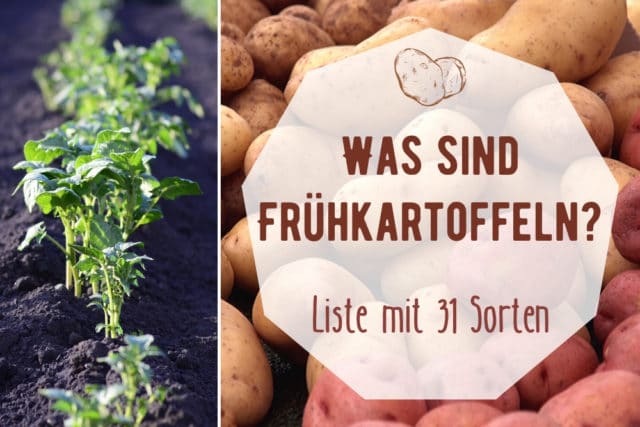 Frühkartoffeln