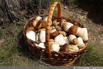 Wann Werden Гјberweisungen Bearbeitet Wann Werden Гјberweisungen Bearbeitet