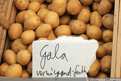 Kartoffel Gala