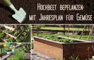 Hochbeet Jahresplan