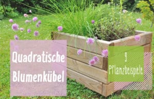 Quadratische Blumenkübel