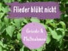 Flieder blüht nicht
