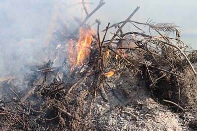 Gartenabfall verbrennen, Feuer