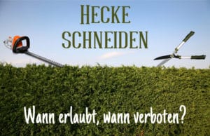 Hecke schneiden