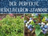 Heidelbeeren-Standort