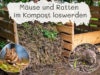 Mäuse & Ratten im Kompost