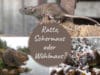 Wühlmaus, Ratte, Schermaus erkennen