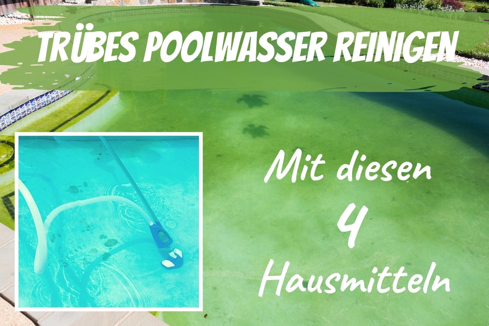 Grün tun was wasser pool Poolwasser wird