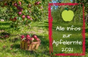 Apfelernte 2021