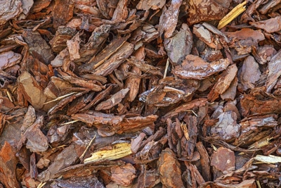 Fichtenmulch