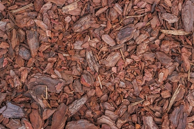 Kiefernmulch