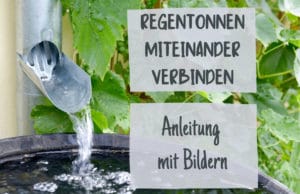 Regenwasser sammeln