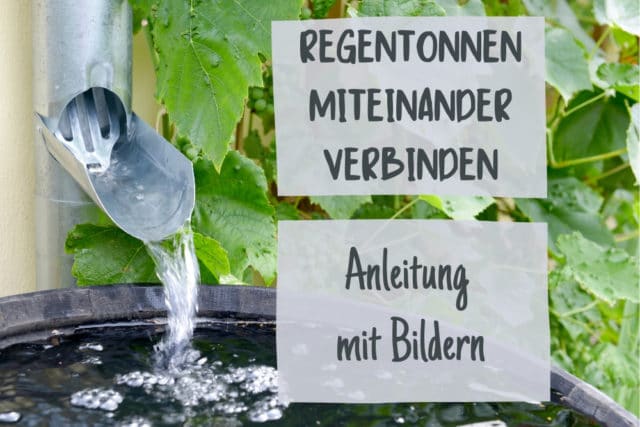 Regenwasser sammeln