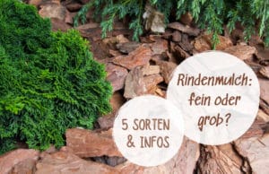 Rindenmulch-Sorten