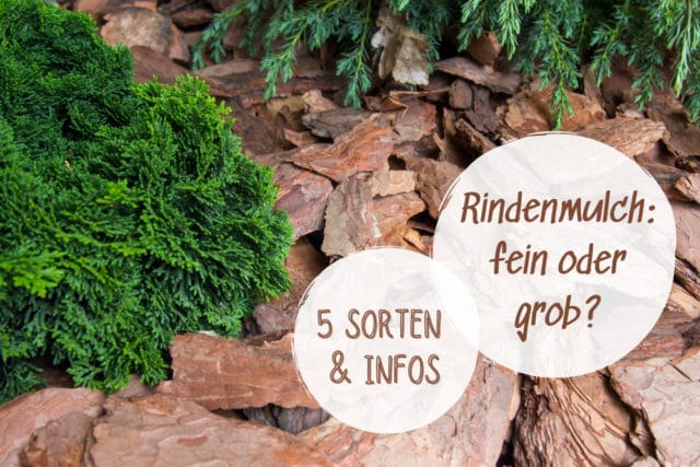 Rindenmulch-Sorten