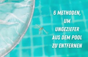 Maden aus dem Pool entfernen