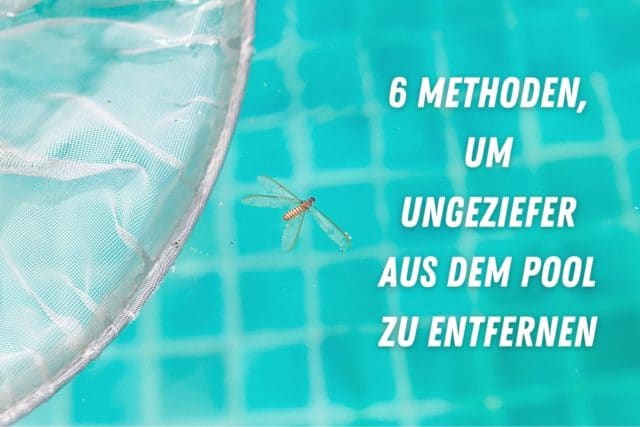 Maden aus dem Pool entfernen