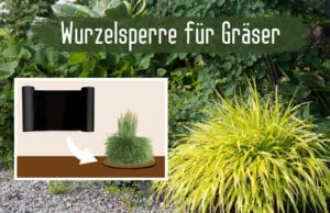 Wurzelsperre Gräser