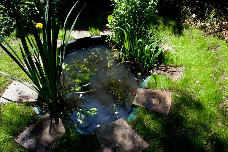 Gartenteich im Schatten