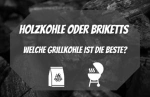 Holzkohle oder Briketts